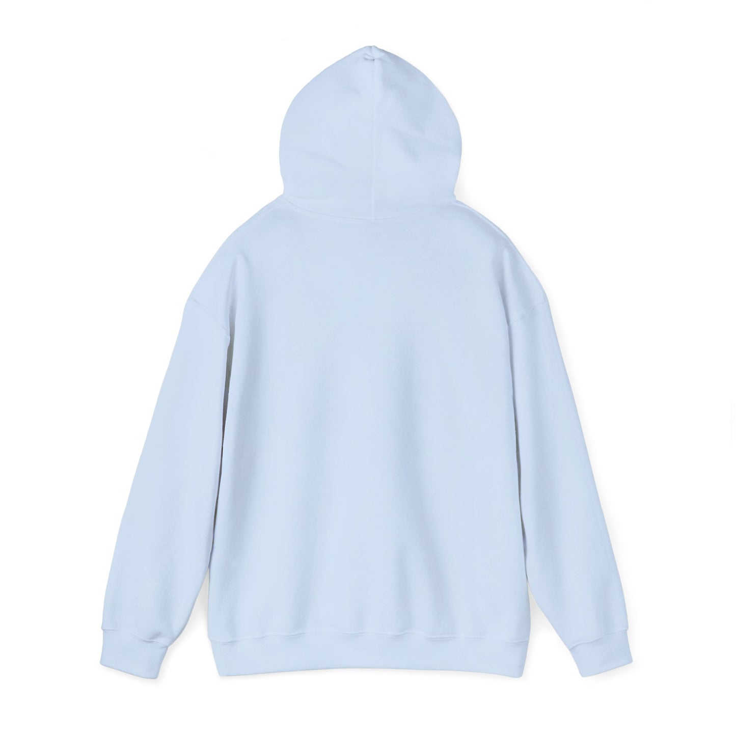 Henke motorsports llc hoodie